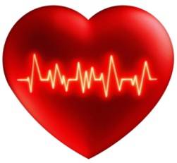 Гипотеза причины аритмии сердца